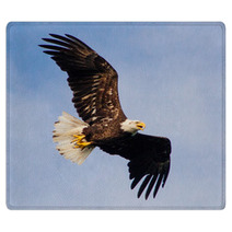 Young Eagle Flying Rugs 67987501