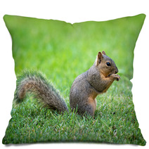 Young Eastern Fox Squirrel (Sciurus Niger) Eating Bird Seeds In The Garden Pillows 85190074