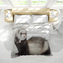 Young Ferret Bedding 69016334