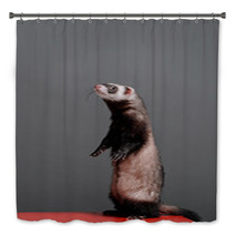 Young Ferret Standing And Looking To Side On A Gray Background In The Studio. Bath Decor 96153928