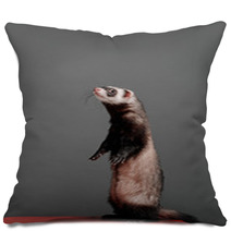 Young Ferret Standing And Looking To Side On A Gray Background In The Studio. Pillows 96153928
