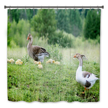 Young Goslings With Parents On The Grass Bath Decor 100671096