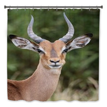 Young Impala Antelope Bath Decor 61168544