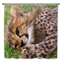 Young Leopard Baby Bath Decor 39722052