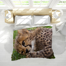 Young Leopard Baby Bedding 39722052
