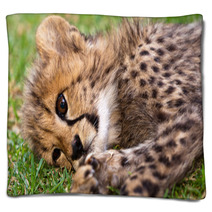 Young Leopard Baby Blankets 39722052