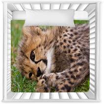 Young Leopard Baby Nursery Decor 39722052