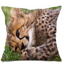 Young Leopard Baby Pillows 39722052