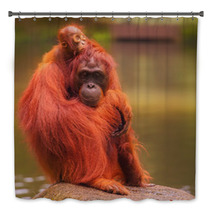 Young Orangutan Is Sleeping On Its Mother Bath Decor 90336424