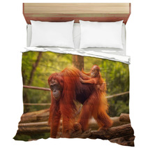 Young Orangutan Is Sleeping On Its Mother Bedding 90336352