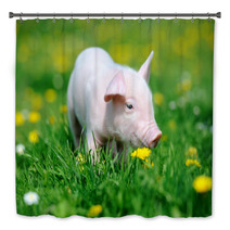 Young Pig In Grass Bath Decor 66888448