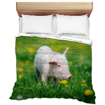 Young Pig In Grass Bedding 66888448