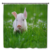 Young Pig On A Green Grass Bath Decor 64334921