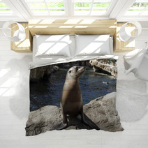 Young Seal On Rocks Bedding 98414341