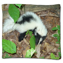 Young Skunk Blankets 60556373