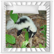 Young Skunk Nursery Decor 60556373