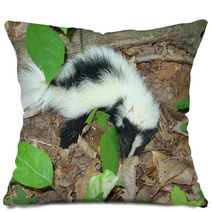 Young Skunk Pillows 60556373