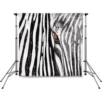Zebra Backdrops 40374642