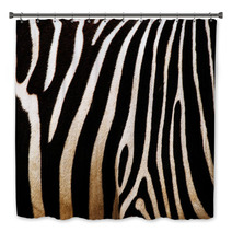 Zebra Bath Decor 44379425