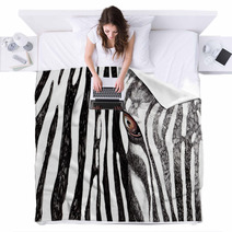 Zebra Blankets 40374642