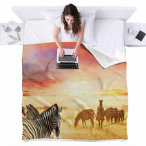 Zebra Blankets 48049196