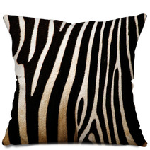 Zebra Pillows 44379425
