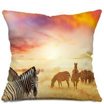 Zebra Pillows 48049196