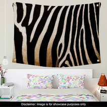 Zebra Wall Art 44379425