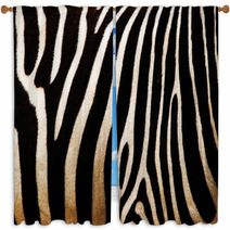 Zebra Window Curtains 44379425