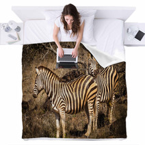 Zebras Blankets 66215667