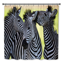 Zebras Kissing And Huddling Bath Decor 48214910