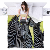 Zebras Kissing And Huddling Blankets 48214910