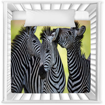 Zebras Kissing And Huddling Nursery Decor 48214910