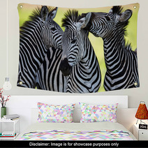 Zebras Kissing And Huddling Wall Art 48214910