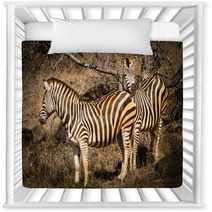 Zebras Nursery Decor 66215667