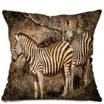 Zebras Pillows 66215667