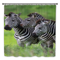 Zebras Together Bath Decor 48214640