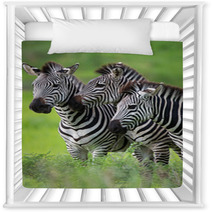 Zebras Together Nursery Decor 48214640