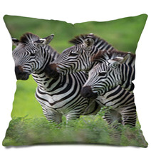 Zebras Together Pillows 48214640