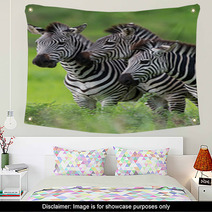 Zebras Together Wall Art 48214640