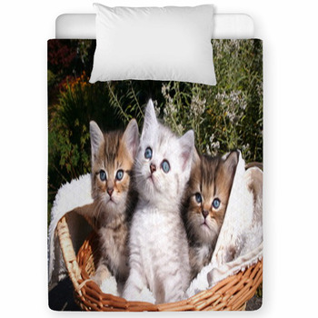 3 Katerchen Toddler Comforter