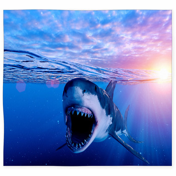 3d Rendered Illustration Of A Custom Size Floor Mat