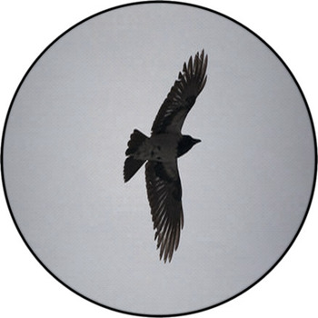 A Crow Flying In The Sky Round Rug