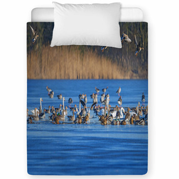 A Flock Of Geese (Anser Albifrons And  Toddler Comforter