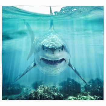 A Predator Great White Shark Custom Size Floor Mat