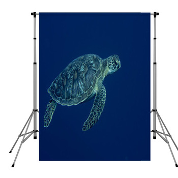 A Sea Turtle Portrait Close Up Pole Pocket Backdrop