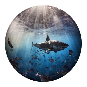 A Shark In Australia Round Rug