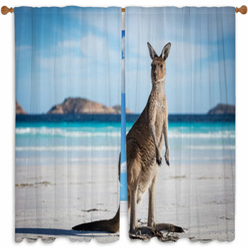 Kangaroo Bears And Kangaroos 3D Curtain Blockout Photo Printing Curtains Drape Fabric 
