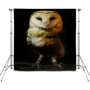 Abstract Barn Owl Polygonal Vector  Custom Size Backdrop