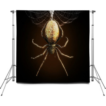 Abstract Closeup Of A Huge Spider Custom Size Backdrop